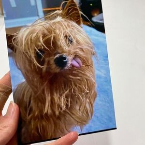 Meet your Posher, Jenny